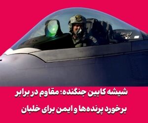 شیشه کابین جنگنده؛ مقاوم در برابر برخورد پرنده‌ها و ایمن برای خلبان