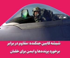 شیشه کابین جنگنده؛ مقاوم در برابر برخورد پرنده‌ها و ایمن برای خلبان