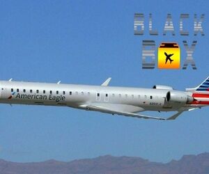  آسیب‌دیدگی به گردن یکی از مهمانداران هواپیمای CRJ-900 امریکن ایرلاینز  