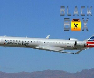  آسیب‌دیدگی به گردن یکی از مهمانداران هواپیمای CRJ-900 امریکن ایرلاینز  