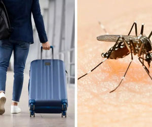 افزایش موارد مالاریای ناشی از سفرها در اروپا