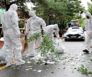 بالون‌هایی که بلای جان کره‌جنوبی شده‌اند!

