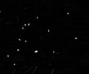 اولین تصویر ثبت شده توسط تلسکوپ 