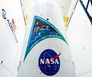 «اسپیس‌ایکس» فردا یک ماهواره برای ناسا پرتاب می‌کند