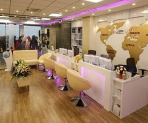 قول مساعد وزیر میراث برای دسترسی برخی آژانس‌ها به اینترنت