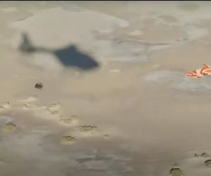 کپسول ناسا خاک خطرناک‌ترین سیارک منظومه شمسی را به زمین آورد