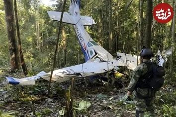 ۴ کودکی که از سقوط هواپیما
 جان سالم به در بردند