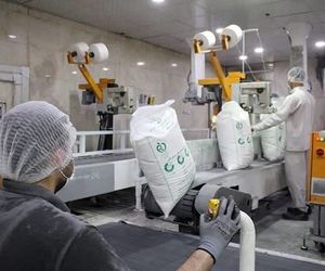 ۲۷۲ هزار تن شکر سفید به بازار عرضه شد / شکر تولیدی با قیمت مصوب و بدون وقفه در حال عرضه است