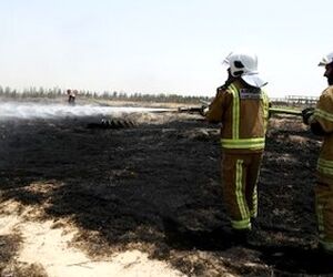 آتش سوزی علفزار اراضی شمالی شهر فرودگاهی امام خمینی(ره) مهار شد