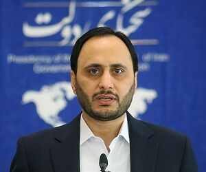 اظهارات سخنگوی دولت درباره ناوگان هوایی و قیمت بلیت هواپیما + فیلم