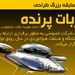 مسابقه بزرگ طراحی ربات پرنده 
