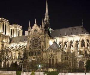 تلاش ناکام یک خلبان برای کوبیدن هواپیما به کلیسای نوتردام در پاریس
 