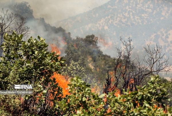 انجام ۱۲ سورتی پرواز برای اطفای حریق الیت