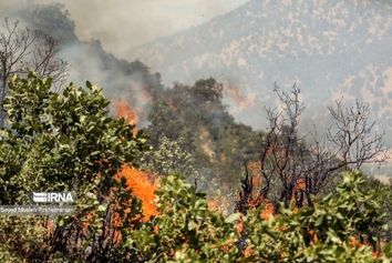 انجام ۱۲ سورتی پرواز برای اطفای حریق الیت