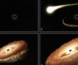 تلسکوپ فضایی هابل سیاهچاله‌ای را رصد کرده که در حال بلعیدن یک ستاره است