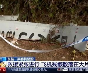 یک نفر هواپیما را ساقط کرده است