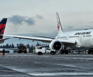 خسارت ۲۰۰ هزار دلاری برای آسیب عاطفی مسافران! 
