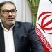 جزئیات تازه از سانحه هواپیمای اوکراینی از زبان دبیر اسبق شورای عالی امنیت ملی