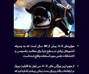 پرنده‌ای که برای پرواز با آن باید لباس فضانوردی داشت