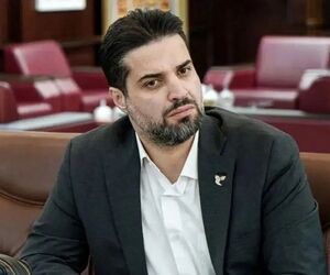 هواپیما نیاورید، ادغام می‌شوید