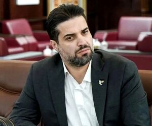 هواپیما نیاورید، ادغام می‌شوید