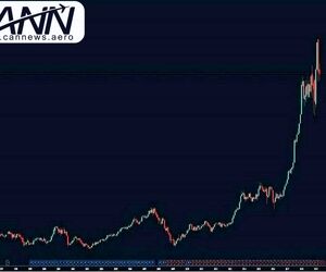 آیا بویینگ به اندازه کافی تنبیه شده است ؟