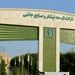 سوددهی شرکت توسعه نیشکر و صنایع جانبی بیش از  ۱۰۰ درصد افزایش یافت/ رکوردشکنی توسعه نیشکر با سود ۸۴۰۰ میلیاردتومانی

