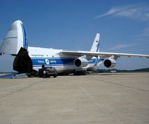 اسب وحشی موجب بازگشت هواپیمای باری به فرودگاه شد