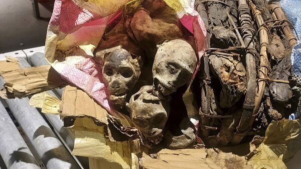 سگ گمرک فرودگاه بوستون میمون‌های مومیایی شده را در چمدان‌های یک مسافر شناسایی کرد
