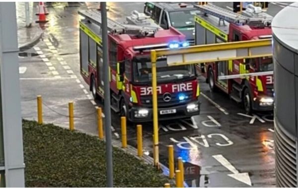 بازداشت یک نفر در پی حادثه امنیتی 
در فرودگاه هیترو لندن